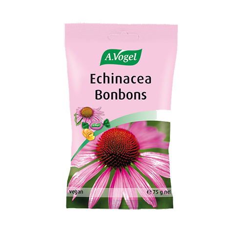 A VOGEL ECHINA C CANDY 75 G