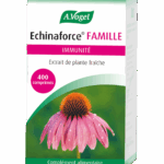 IN VOGEL ECHINAFORCER FAMILY