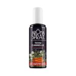 AROMA SPRAY AROMASPRAY THYME CINNAMON 100 ML