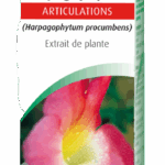 AVOGEL EP HARPAGOPHYTUM 50ML