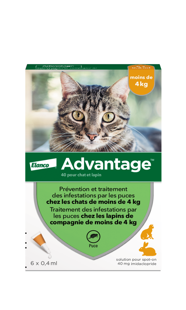 BAYER ADVANTAGE 40 SPOT ON CATS AND RABBITS 4KG 6 PIPETTES