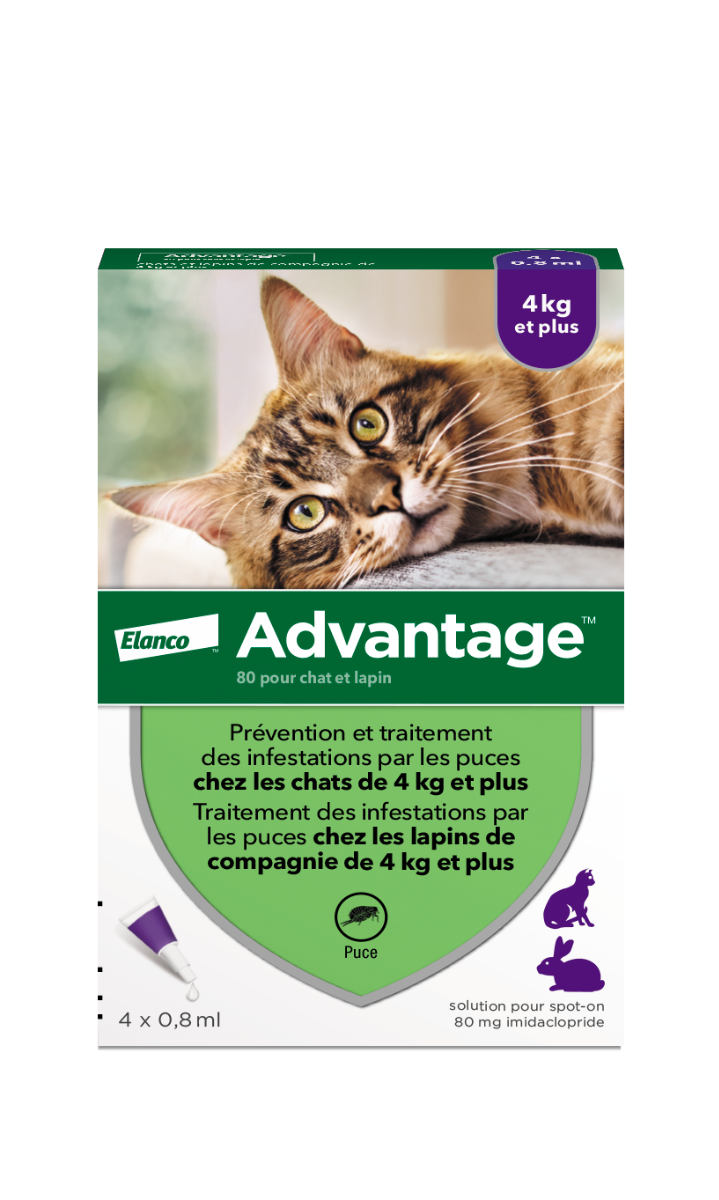 BAYER ADVANTAGE 80 SPOT ON CATS AND RABBITS 4KG AND 4 PIPETTES