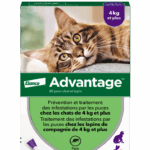 BAYER ADVANTAGE 80 SPOT ON CATS AND RABBITS 4KG AND 6 PIPETTES