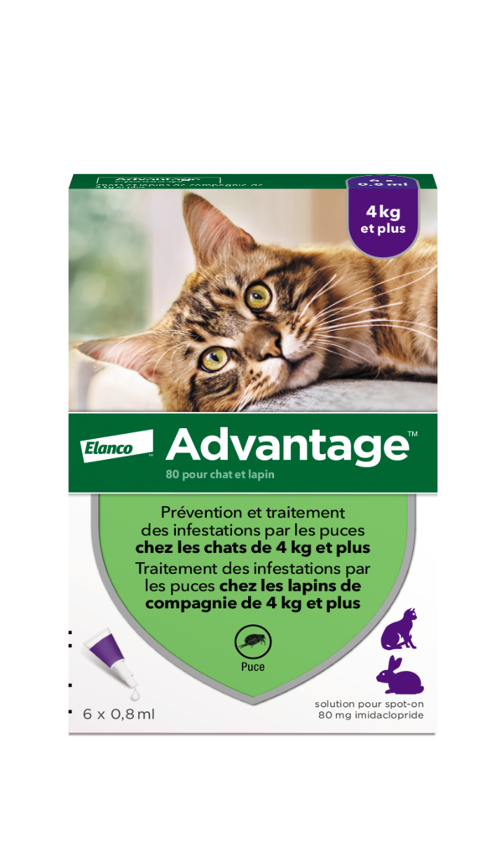 BAYER ADVANTAGE 80 SPOT ON CATS AND RABBITS 4KG AND 6 PIPETTES