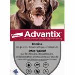 BAYER ADVANTIX EXTERNAL ANTI-PARASITIC LARGE DOG 4 PIPETTES