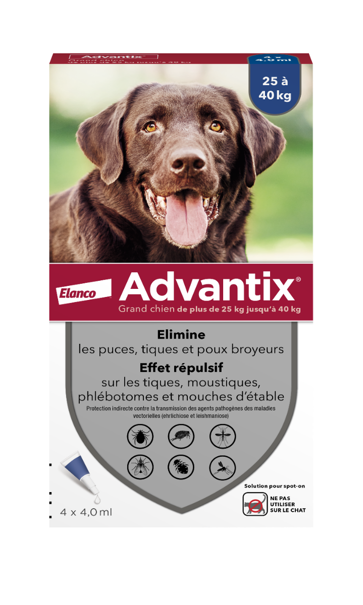BAYER ADVANTIX EXTERNAL ANTI-PARASITIC LARGE DOG 4 PIPETTES