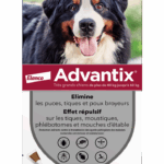 BAYER ADVANTIX LARGE DOG 40 TO 60 KG 6 PIPETTES