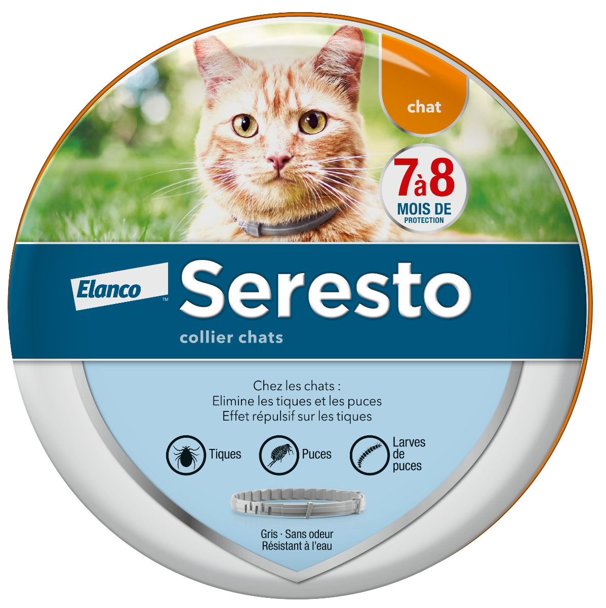 BAYER SERESTO CAT COLLAR 38CM 1 UNIT