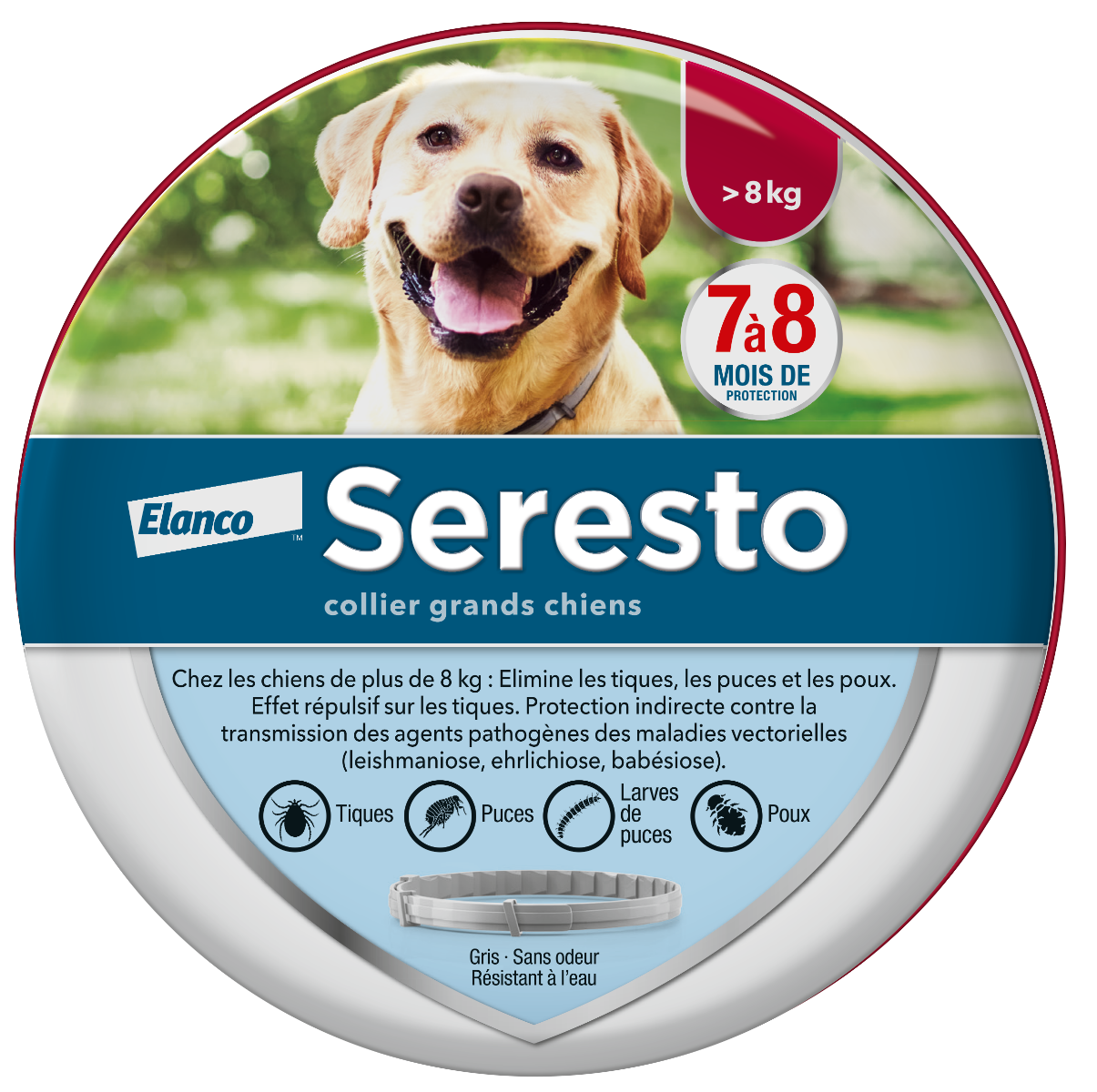 BAYER SERESTO COLLAR LARGE DOGS 70CM 1 UNIT