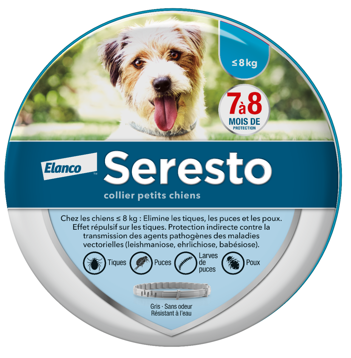 BAYER SERESTO COLLAR SMALL DOGS 38CM 1 UNIT
