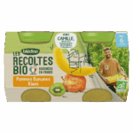 BLEDINA ORGANIC HARVEST APPLES BANANAS KIWIS 2X130G