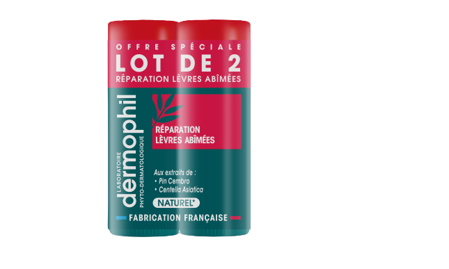 DERMOPHIL INDIAN LIP STICK REPAIR 2X4G