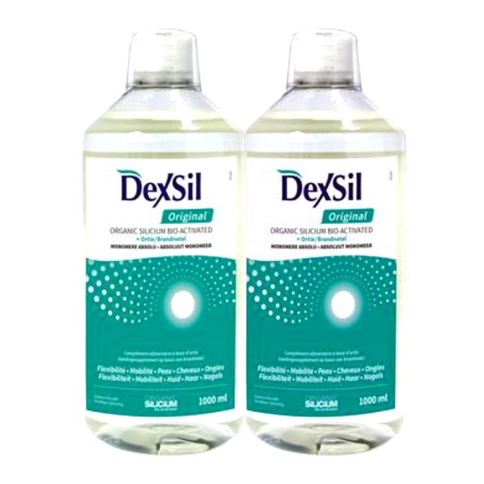 DEXSIL ORGANIC SILICON 2X1L