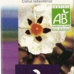 DOCTEUR VALNET HE ORGANIC CISTE LADANIFERE ESSENTIAL OIL 5 ML