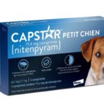 ELANCO CAPSTAR ANTI FLEA TREATMENT FOR SMALL DOG ​​11 4MG 6 TABLETS