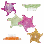 ESTIPHARM ROUND NAIL BRUSH STAR 1 UNIT