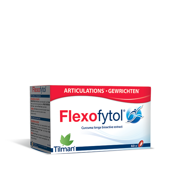 FLEXOFYTOL JOINTS 60 CAPSULES