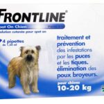 FRONTLINE SPOT ON DOGS 10 TO 20KG 4 PIPETTES OF 1 34ML