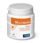 PILEJE MULTIBIANE 120 CAPSULES