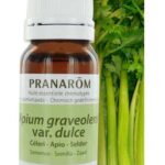 PRANAROM HE CELERY ESSENTIAL OIL 10ML