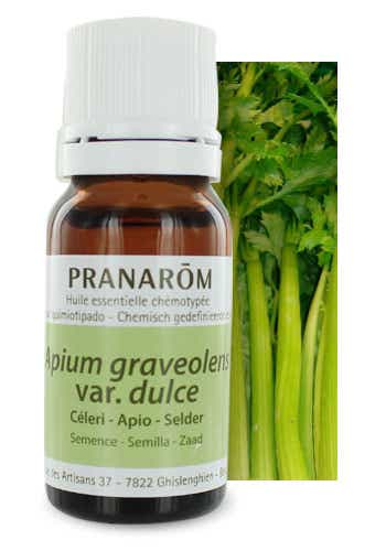 PRANAROM HE CELERY ESSENTIAL OIL 10ML