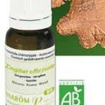 PRANAROM HE ORGANIC GINGER ESSENTIAL OIL 5 ML