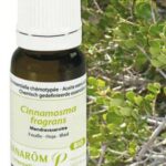 PRANAROM HE ESSENTIAL OIL MANDRAVASAROTRA 10 ML