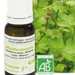 PRANAROM HE ORGANIC MINT ESSENTIAL OIL 10 ML