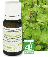PRANAROM HE ORGANIC MINT ESSENTIAL OIL 10 ML