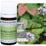 PRANAROM HE ORGANIC PEPPERMINT ESSENTIAL OIL 5 ML