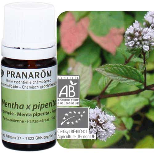 PRANAROM HE ORGANIC PEPPERMINT ESSENTIAL OIL 5 ML