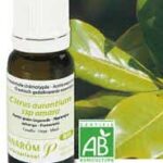 PRANAROM HE ESSENTIAL OIL SMALL GRAIN BIGARADE ORGANIC 10 ML