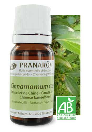 PRANAROM ORGANIC CHINESE CINNAMON ESSENTIAL OIL 10ML