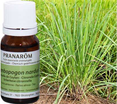 PRANAROM CEYLON LEMONSELLA ESSENTIAL OIL 10 ML