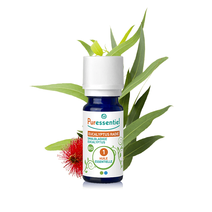 PURESSENTIEL RADIATED EUCALYPTUS ESSENTIAL OIL ORGANIC 10 ML