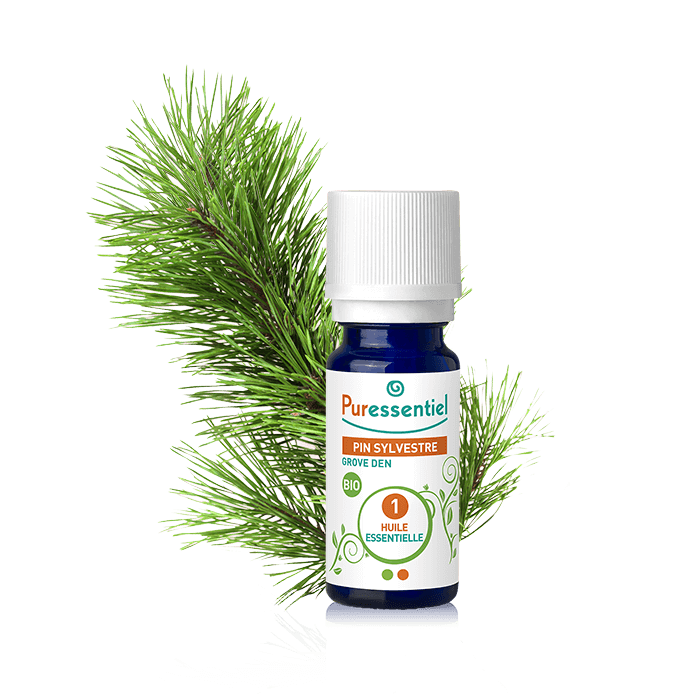 PURESSENTIEL ESSENTIAL OIL SCOTTISH PINE 5ML