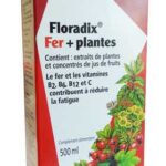 SALUS FLORADIX IRON PLANTS 500ML