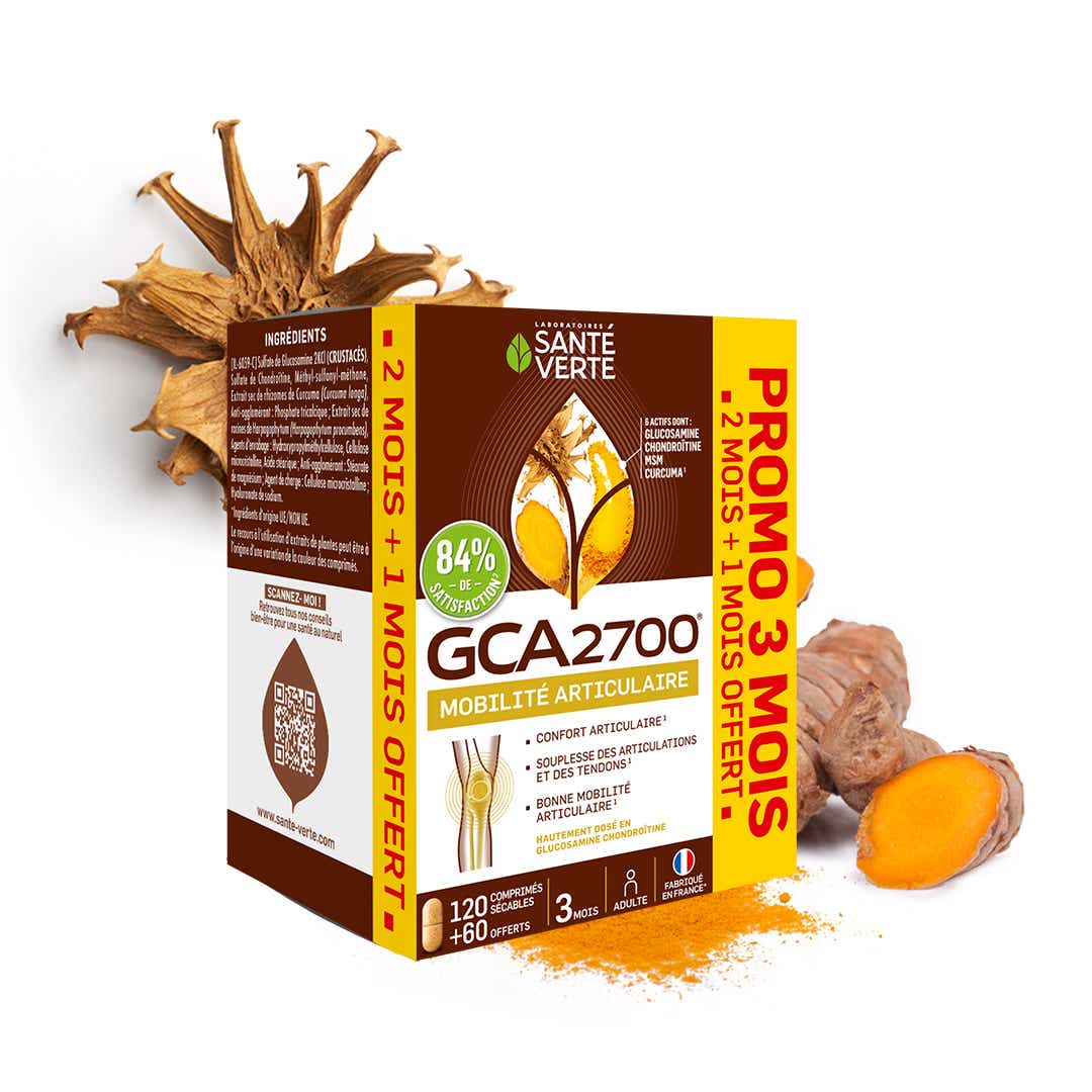 SANTE GREEN MOBILITY GCA 2700 JOINT MOBILITY 120 60 TABLETS