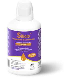 SILICIO CHONDROITIN AND GLUCOSAMINE 500ML