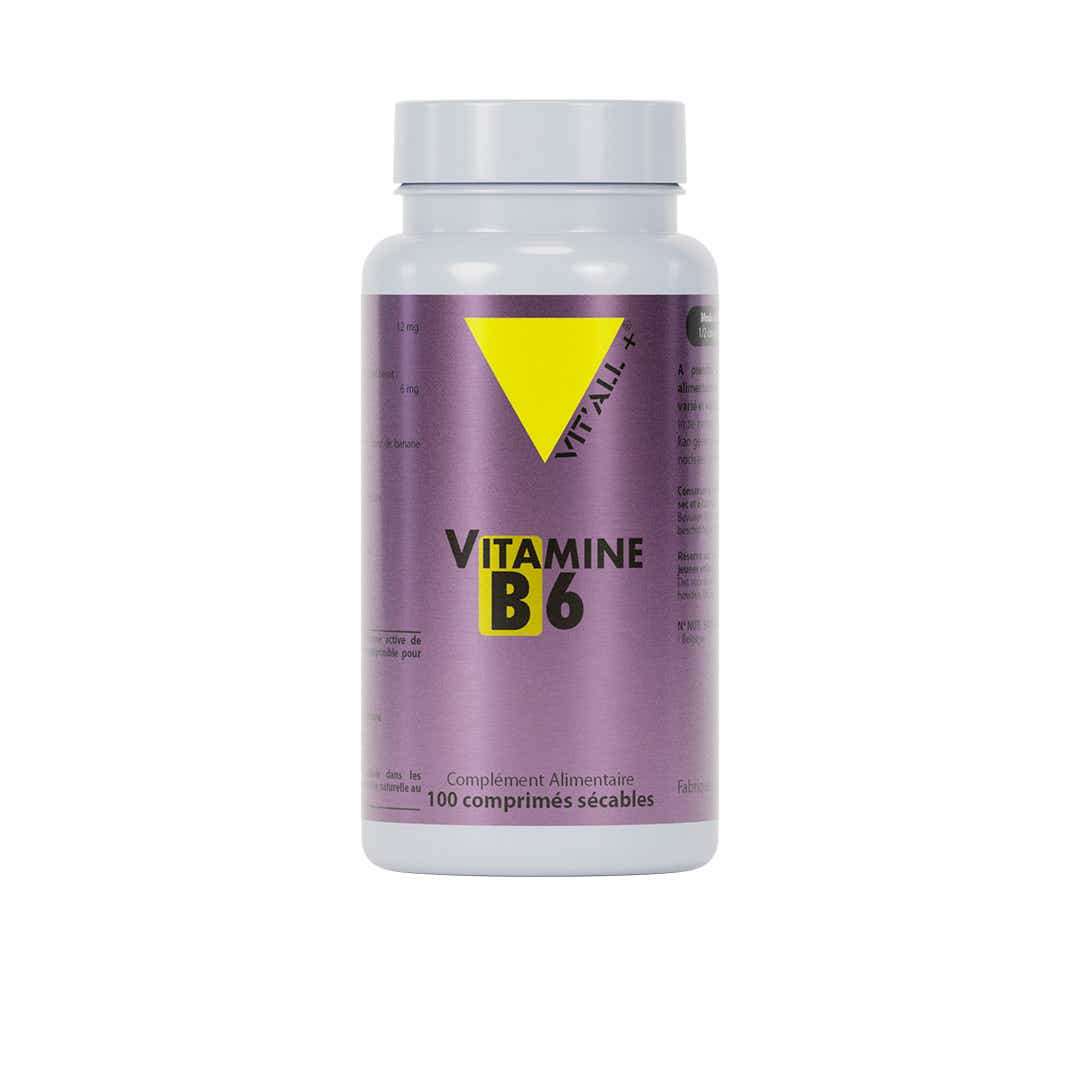 VITALL VITAMIN B6 100 TABLETS