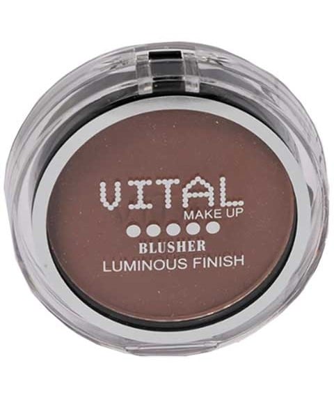 LUMINOUS FINISH BLUSHER 06 BRICK RED 