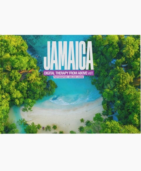 JAMAICA DIGITAL THERAPY FROM ABOVE VOL 1 BOOK 