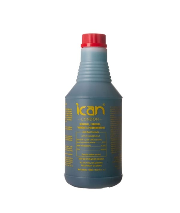 ICAN GERMICIDE DISINFECTANT SOLUTION 